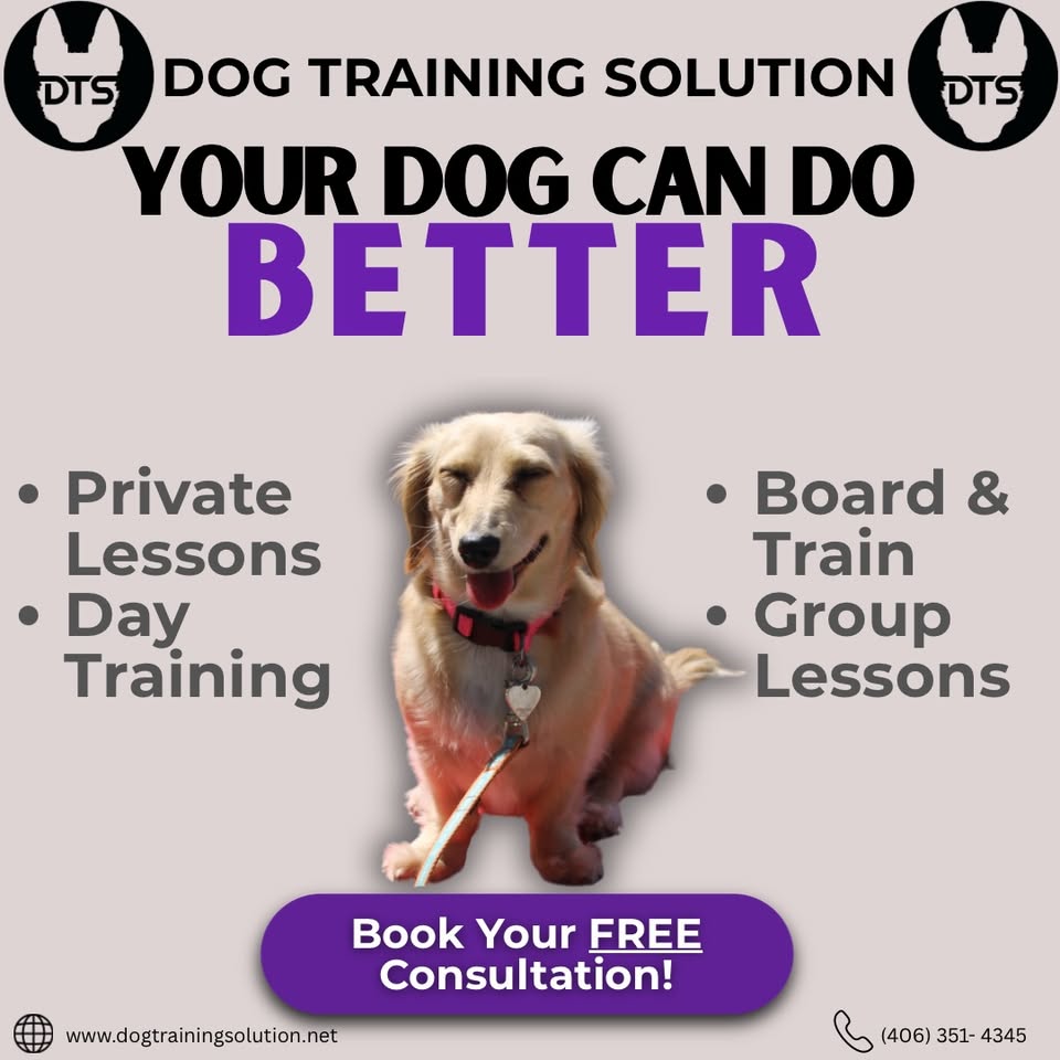 Dog Training Solution Facebook ad: DTS - Montana Dog Training & Affordable Boarding