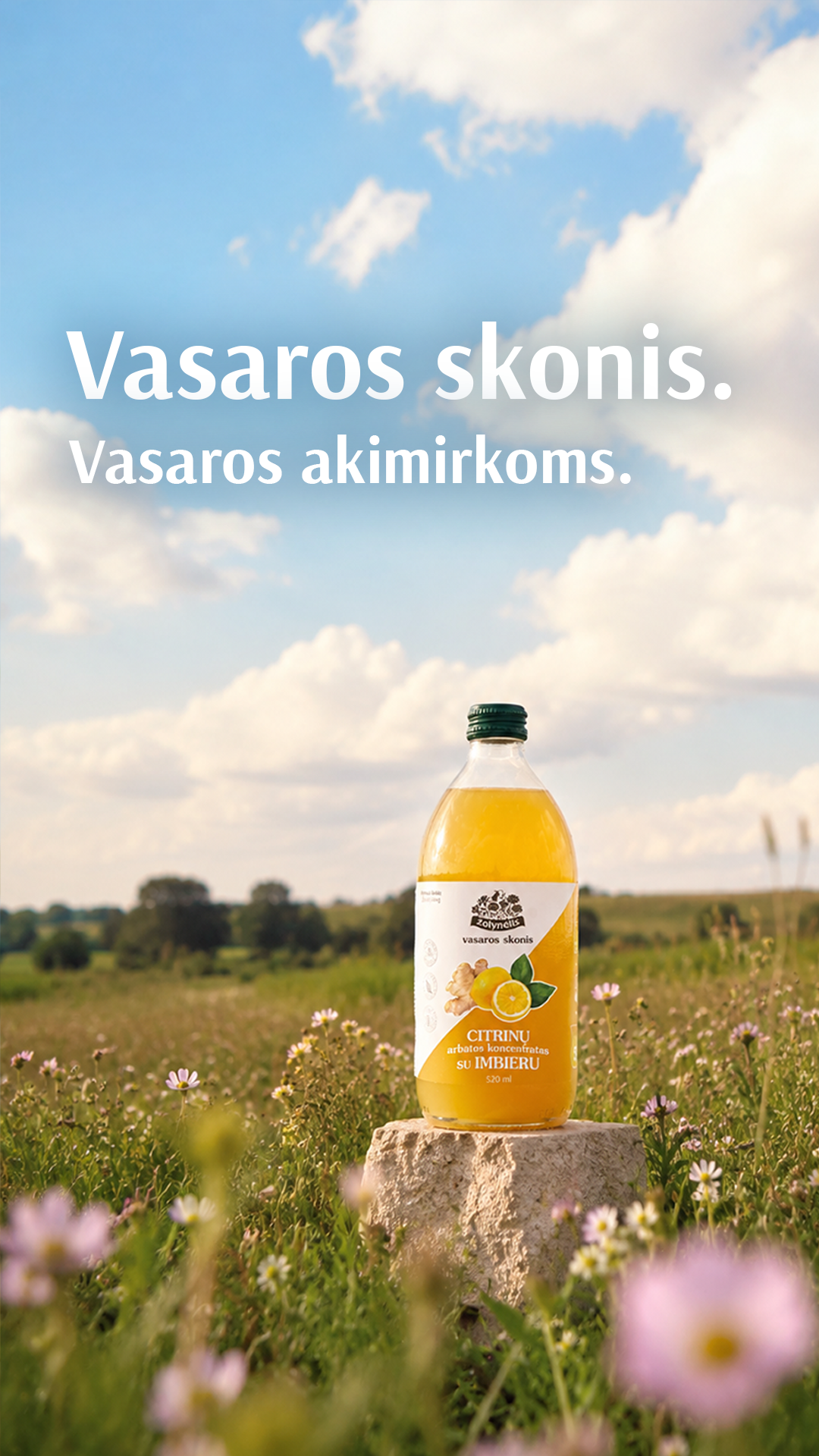 Žolynėlis Facebook ad