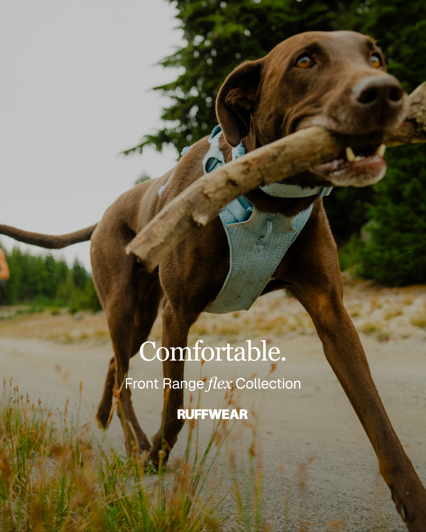 Ruffwear Facebook ad