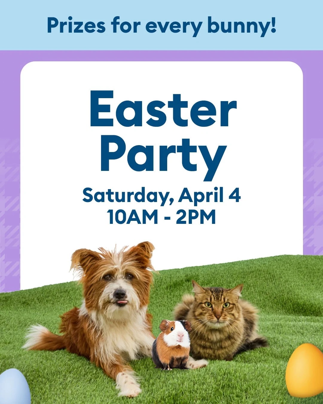 PetSmart Facebook ad