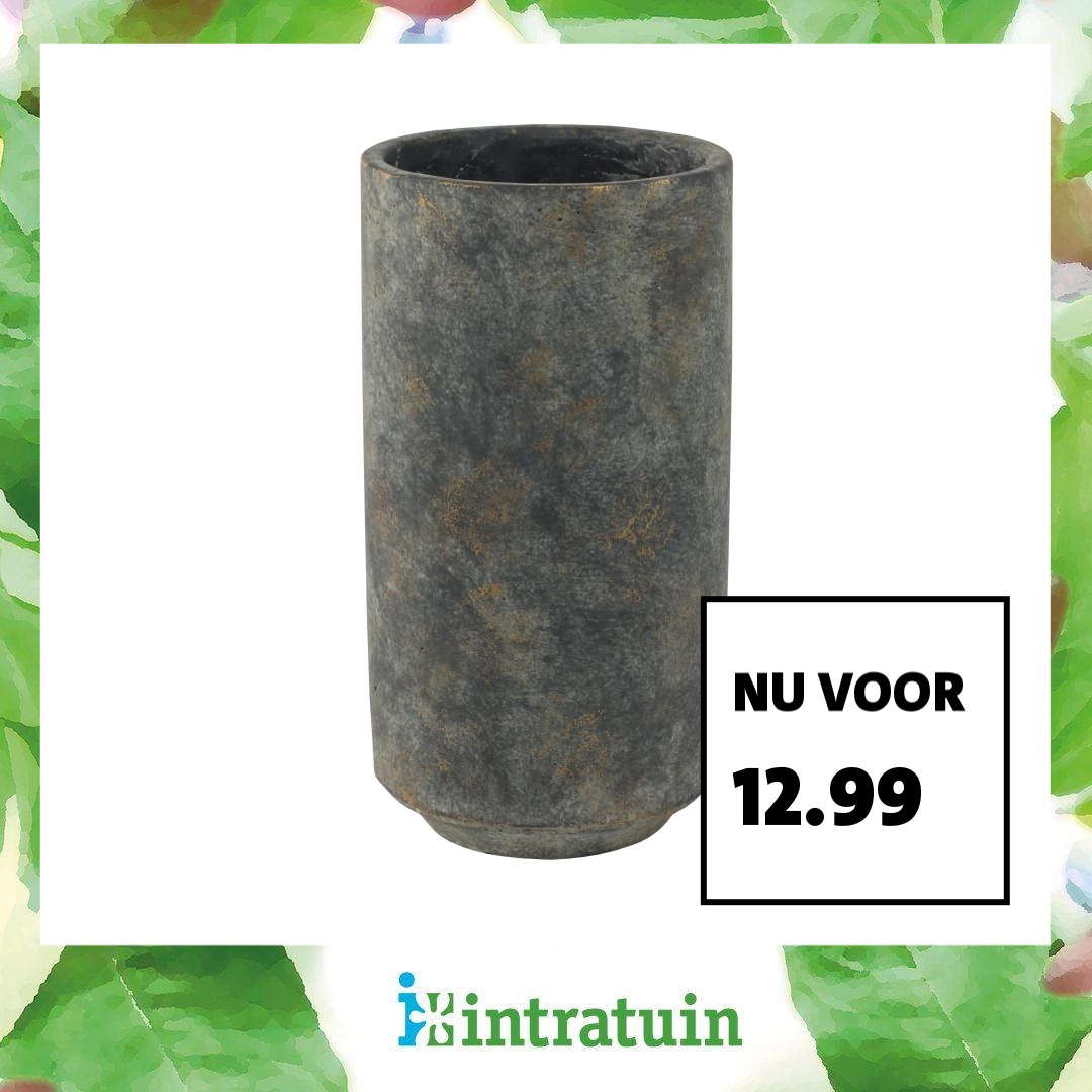 Intratuin Facebook ad