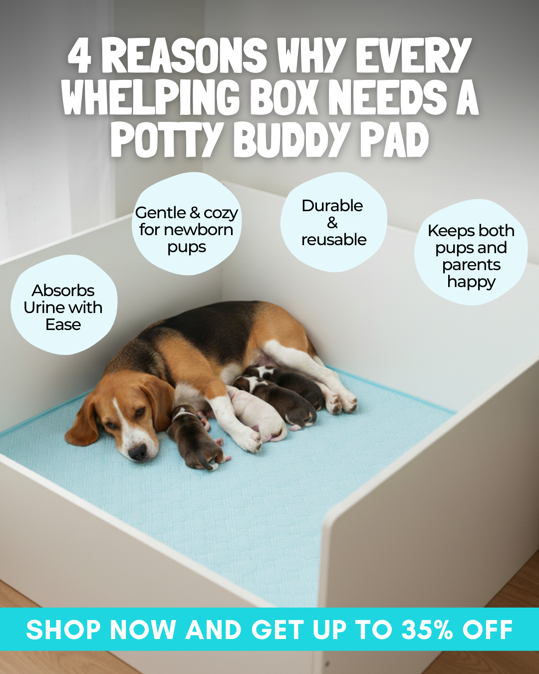 Potty Buddy Facebook ad
