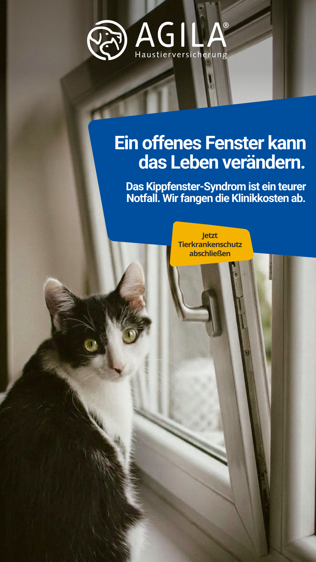 AGILA Haustierversicherung Facebook ad: AGILA Katzenversicherung