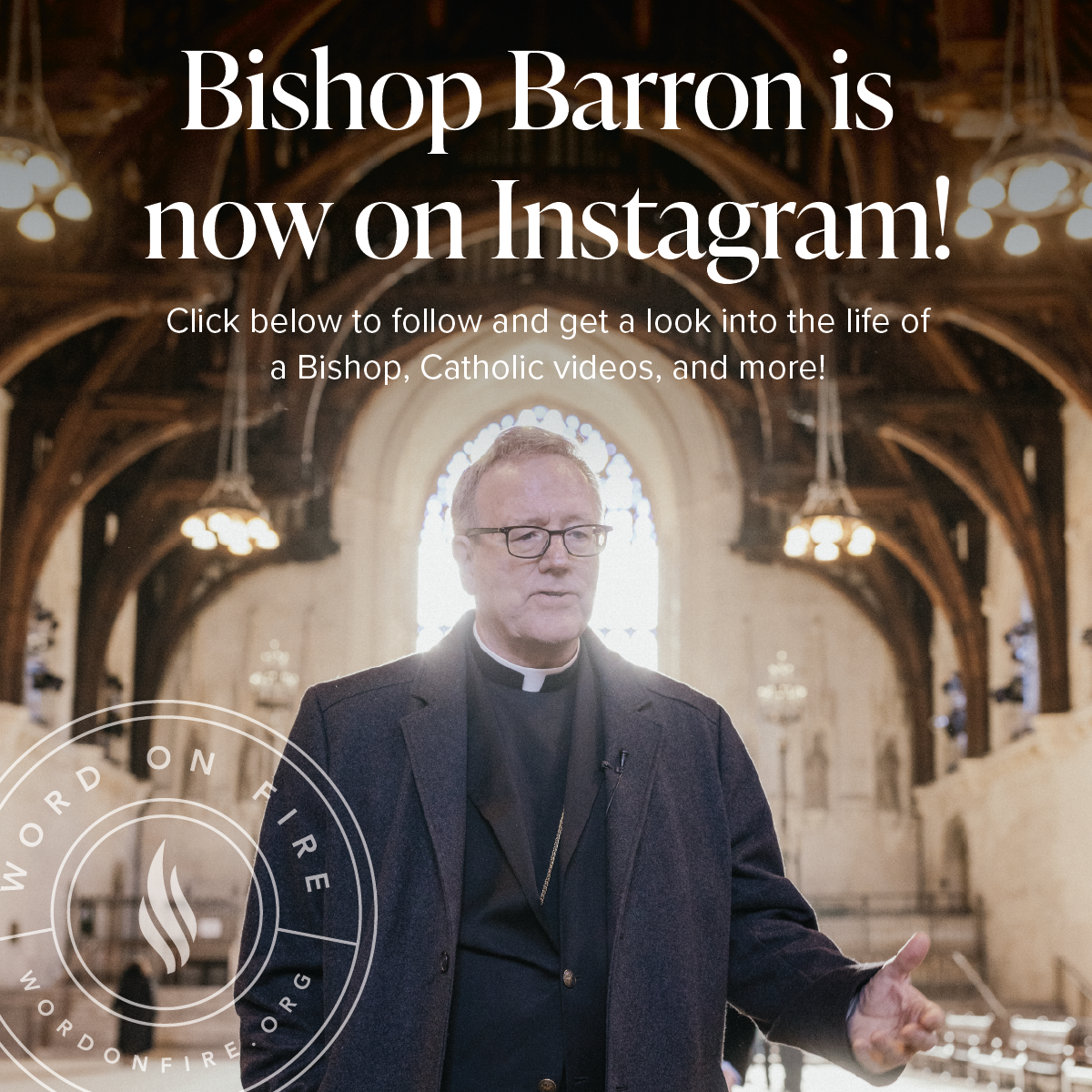 Bishop Robert Barron Facebook ad