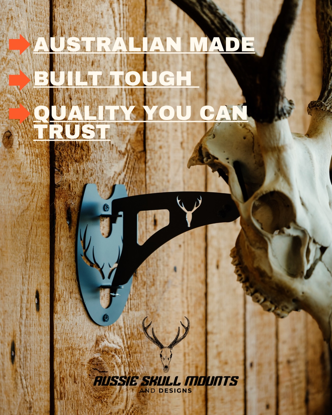 Aussie Skull Mounts and Designs Facebook ad: LIMITED TIME ONLY