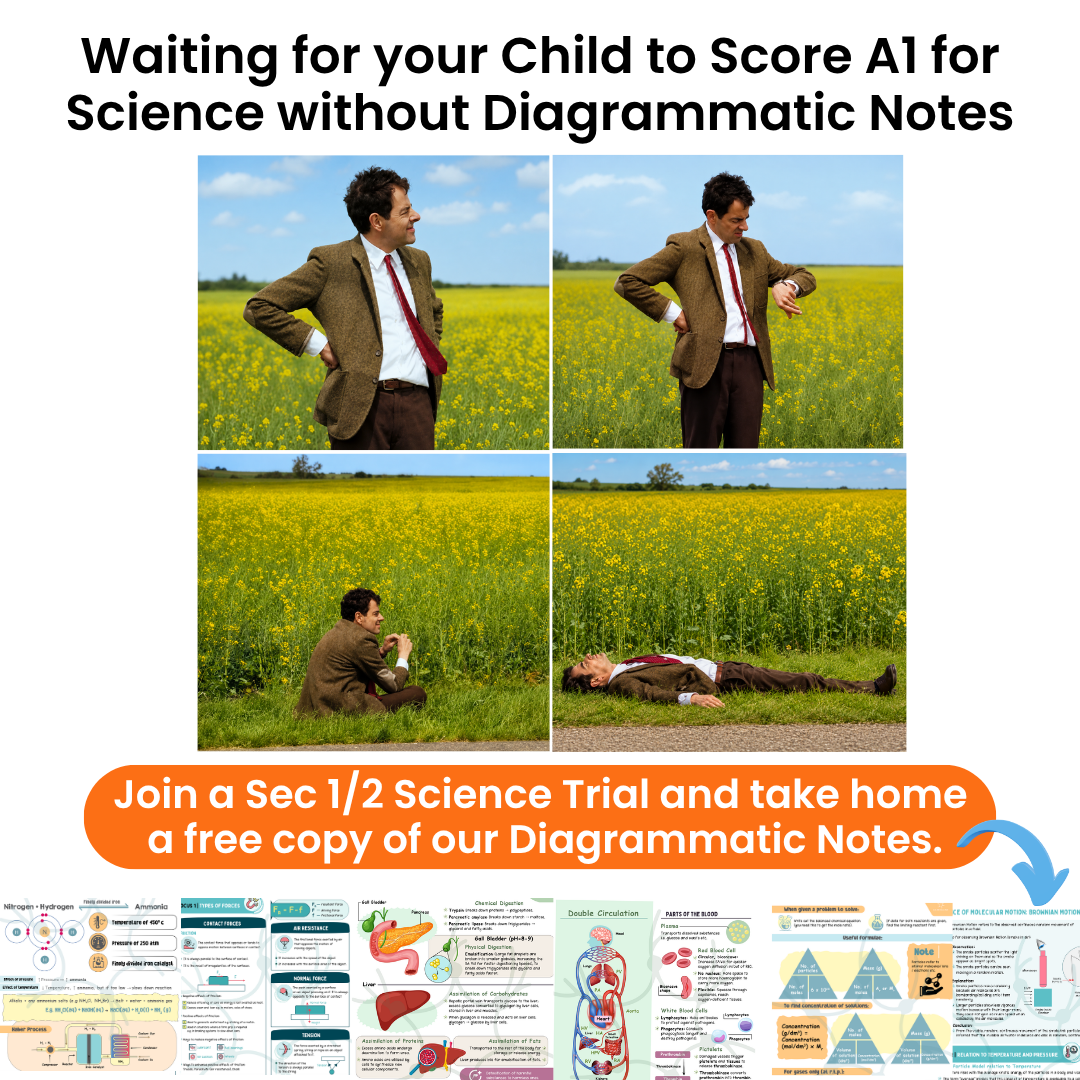learnalink Facebook ad: How To Score A in Science?