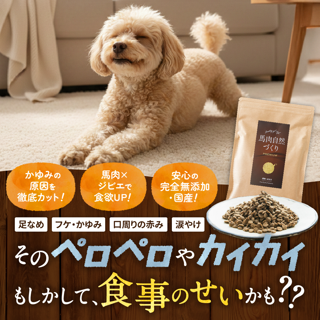 健康いぬ生活 Facebook ad