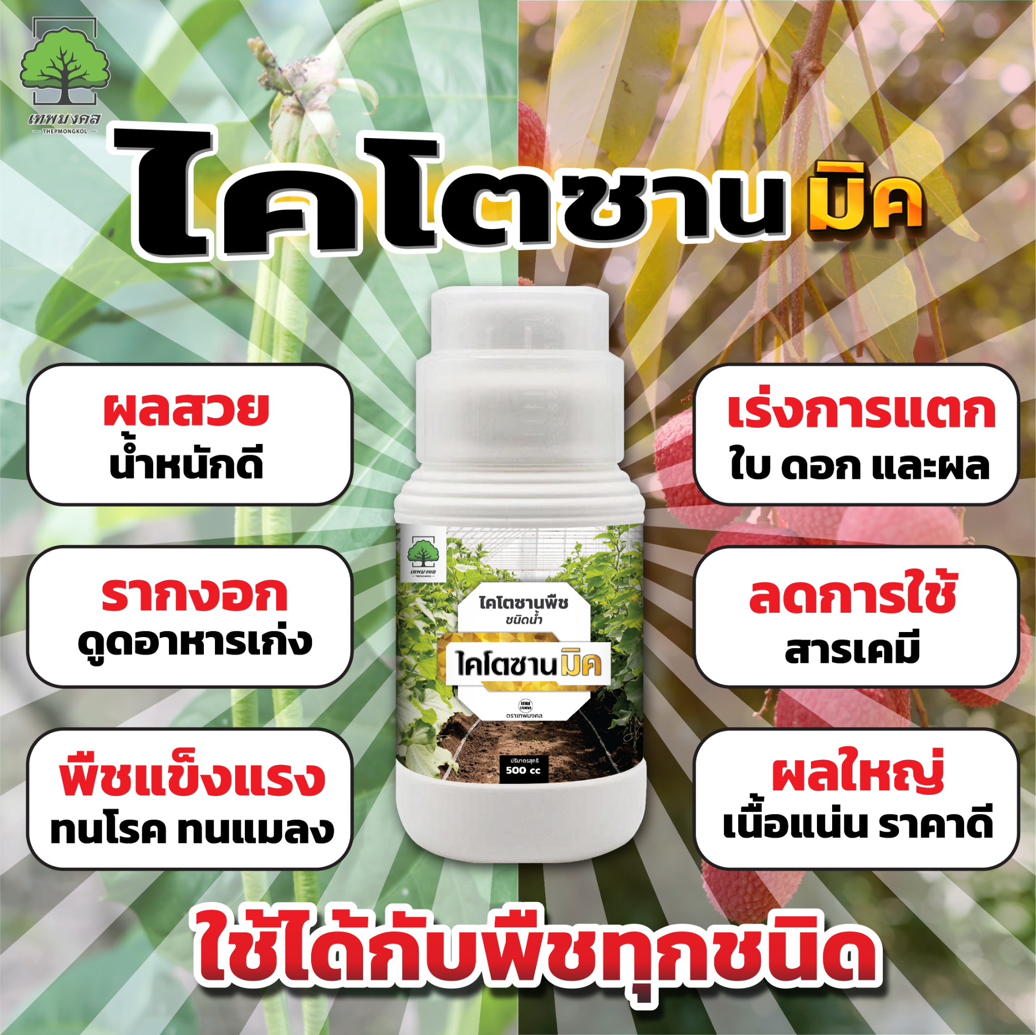 ไคโตซานมิค เสริมภูมิคุ้มกัน ยับยั้งโรคพืช Facebook ad: สั่งเลยวันนี้ รับโปร 3แถม1 ทักเลย