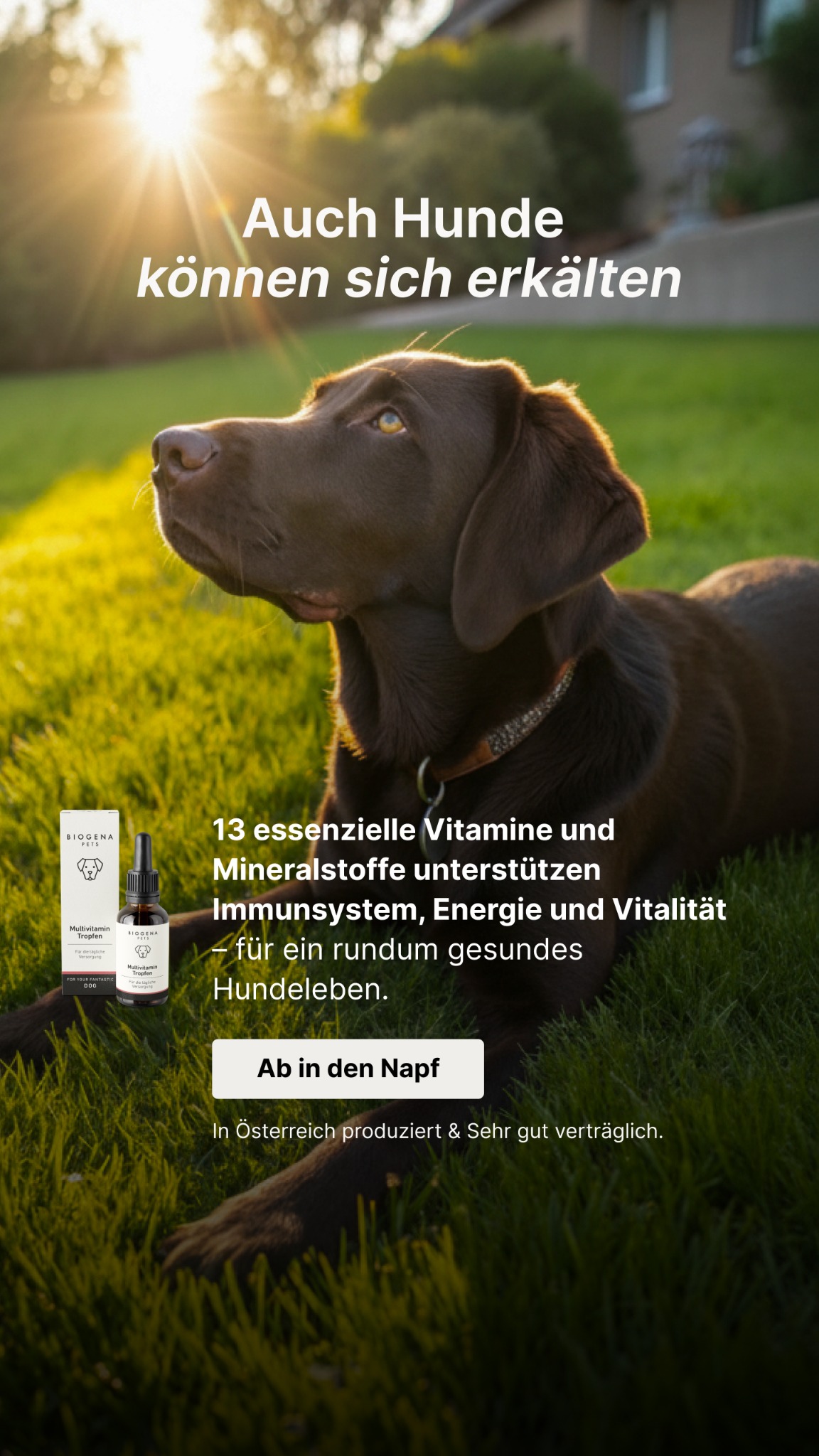 Biogena PETS Facebook ad
