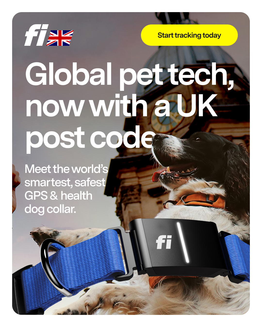 Fi Facebook ad