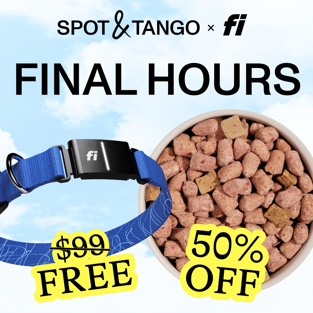 Spot and Tango Facebook ad