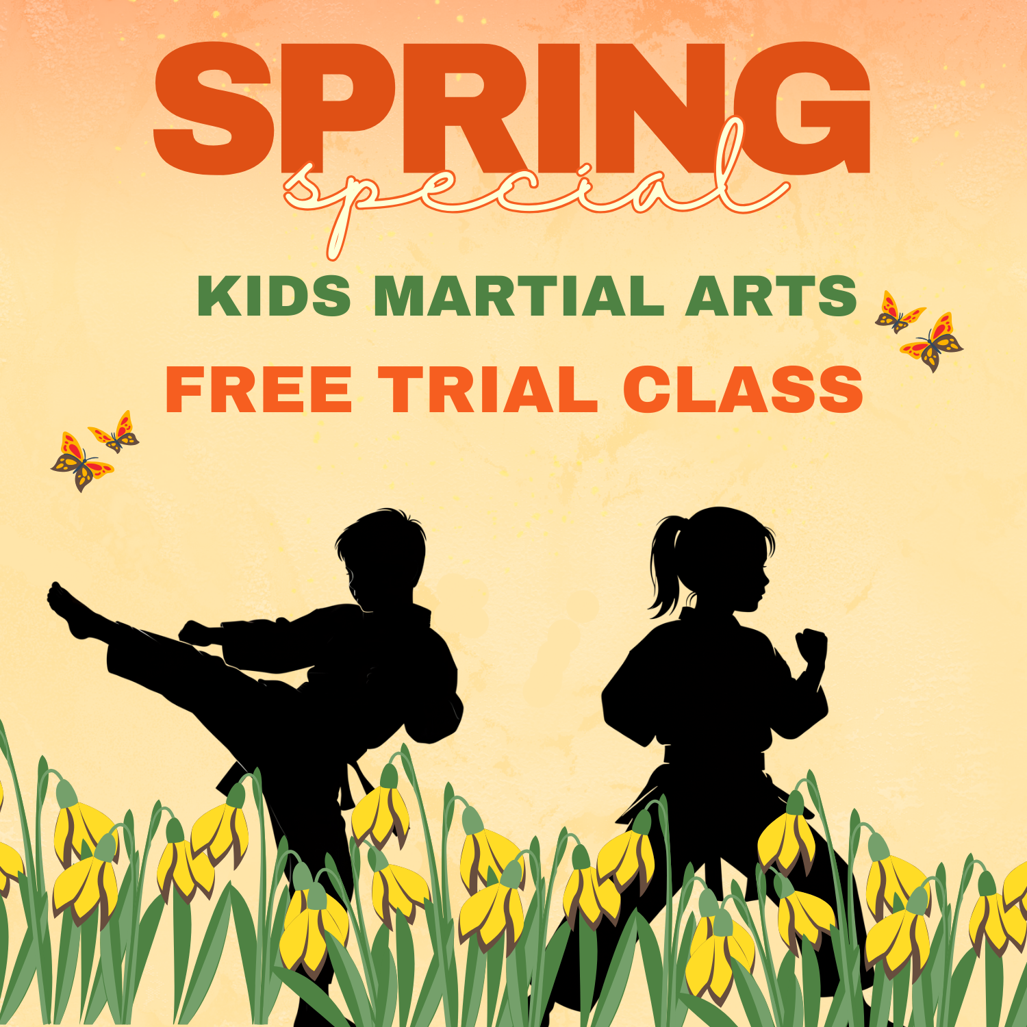 Bushi Ban Seabrook Facebook ad: Spring Special Free Trial Class + $100 Off