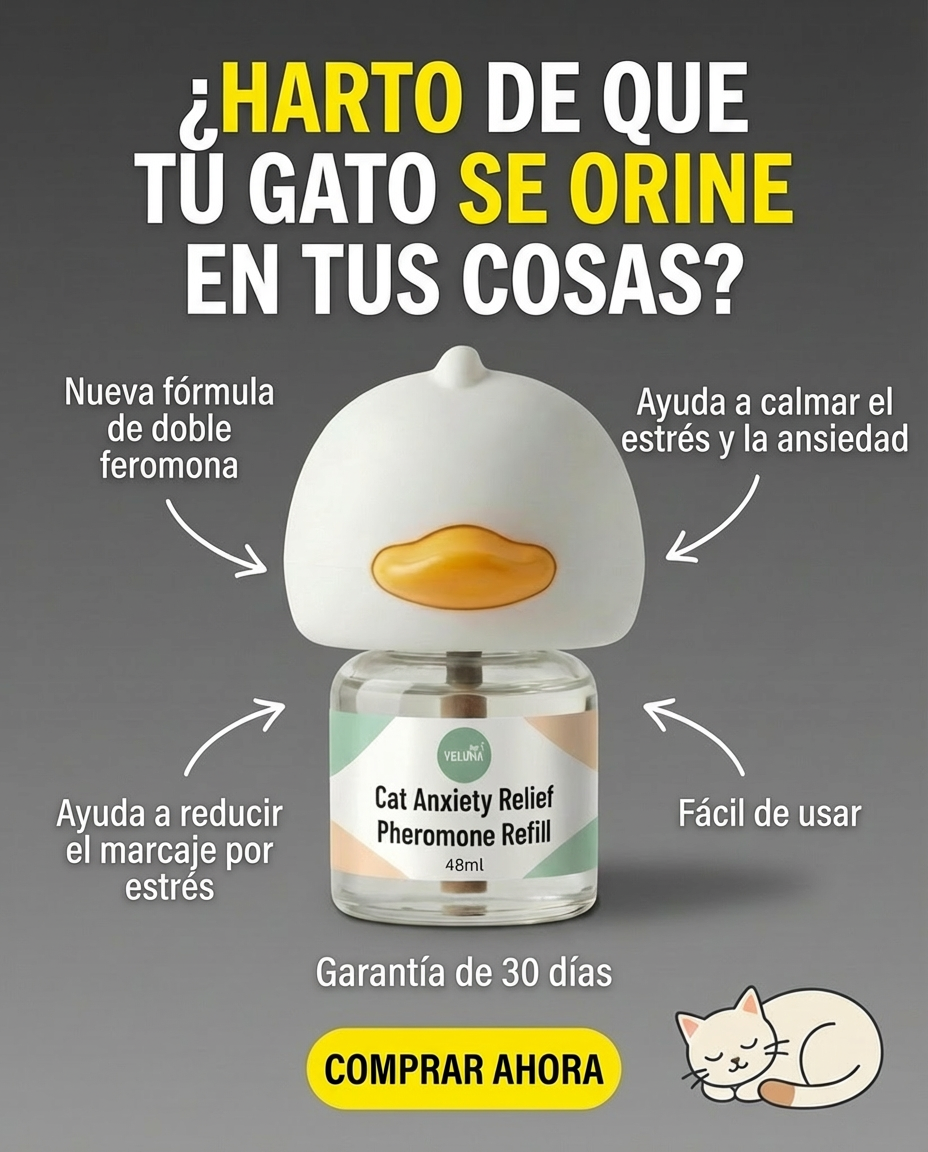 Veluna Mexico Facebook ad: La verdadera razón detrás del mal comportamiento felino