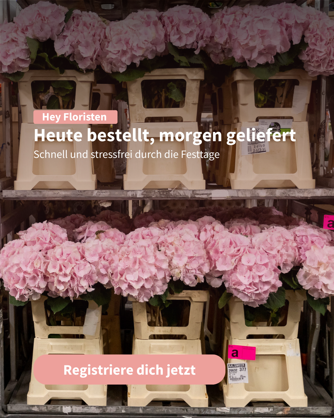 FleuraMetz Facebook ad: Jetzt Demo-Login anfordern