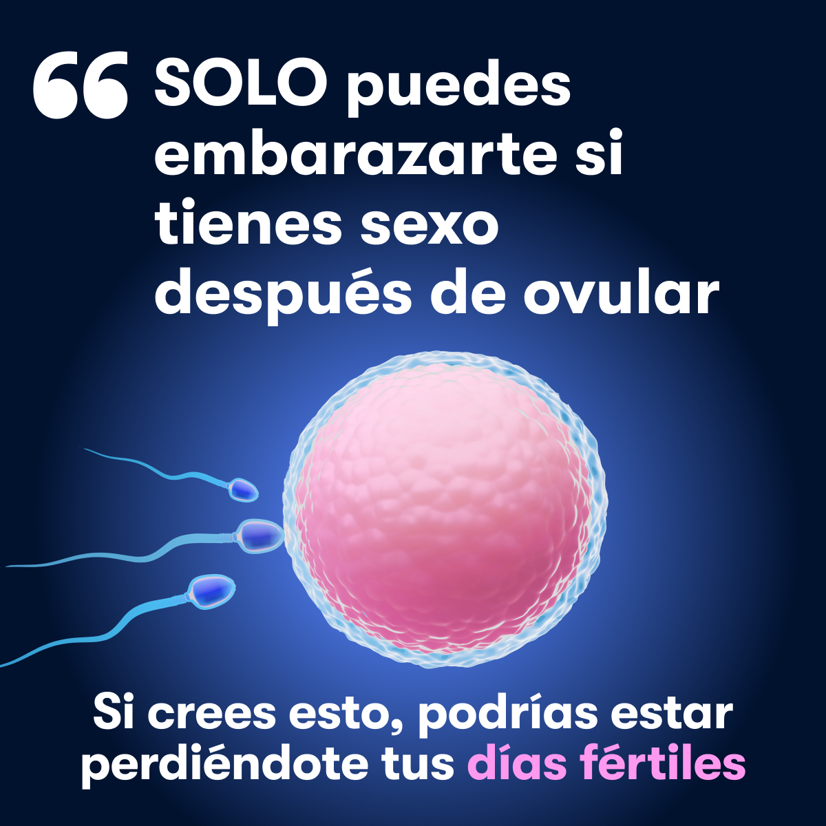 Flo For Perimenopause Facebook ad