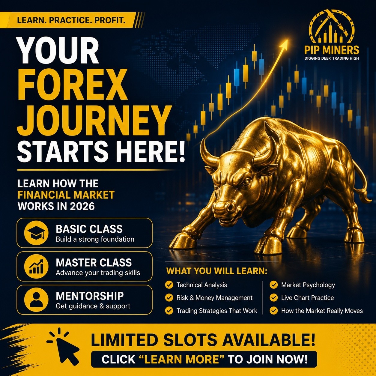 Pip_Miners Facebook ad