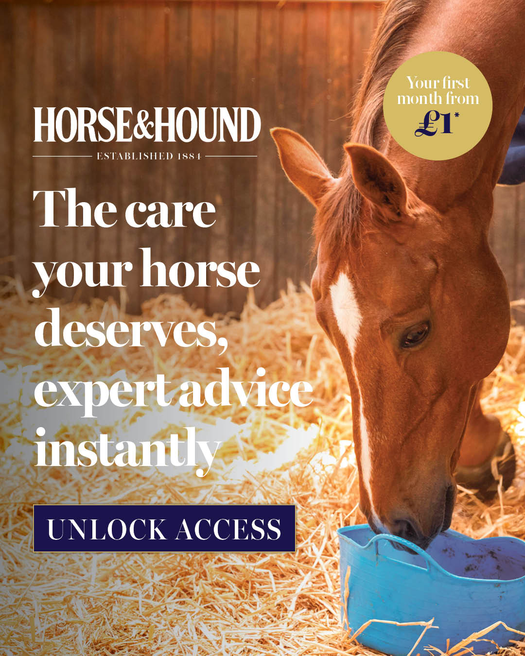 Horse & Hound Facebook ad from Jun 28, 2026