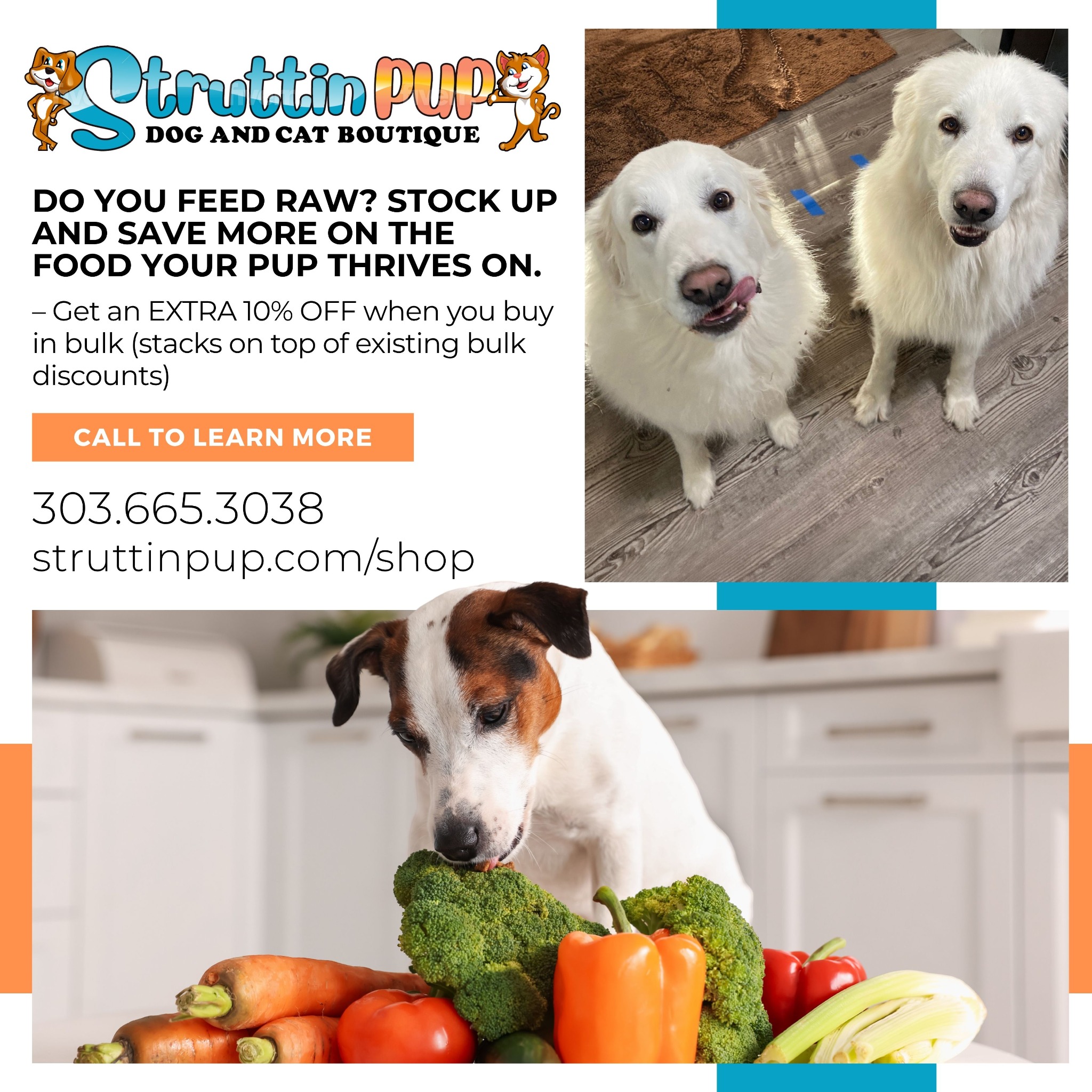 Struttin Pup Dog Boutique and Bath Facebook ad: Home - Struttin Pup