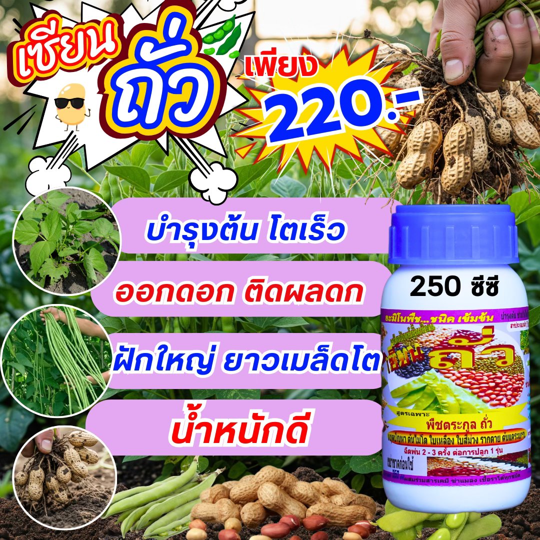 8เซียน Sienkaset 085-6207070 Facebook ad