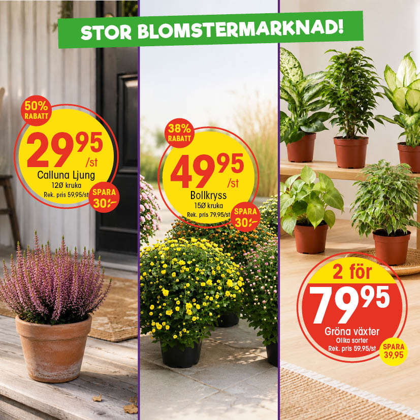 EKO Malmö Facebook ad from Aug 31, 2026