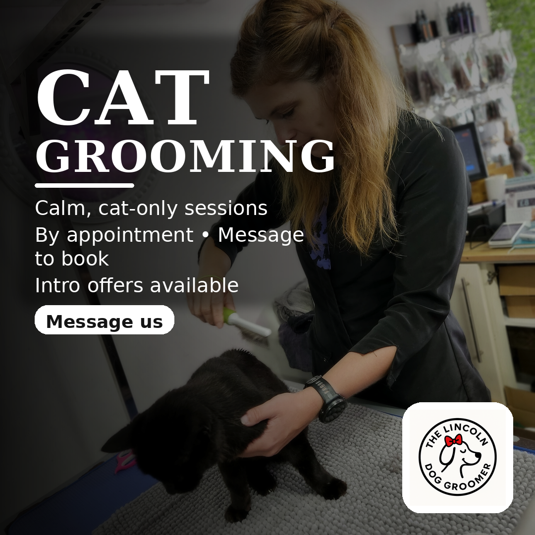The Lincoln Dog Groomer & Pet Supplies Facebook ad