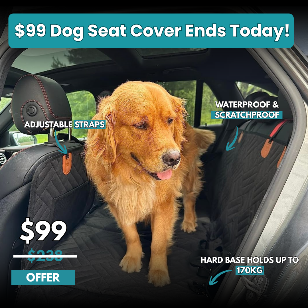 MrBarks.Shop Facebook ad