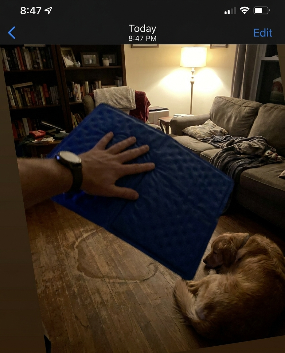 Pet Health Insiders Facebook ad