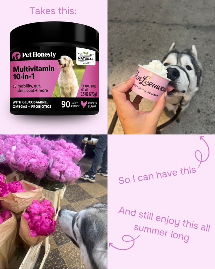 PetMeds Facebook ad: Multivitamins + Pup Cup = Koda Smelling the…
