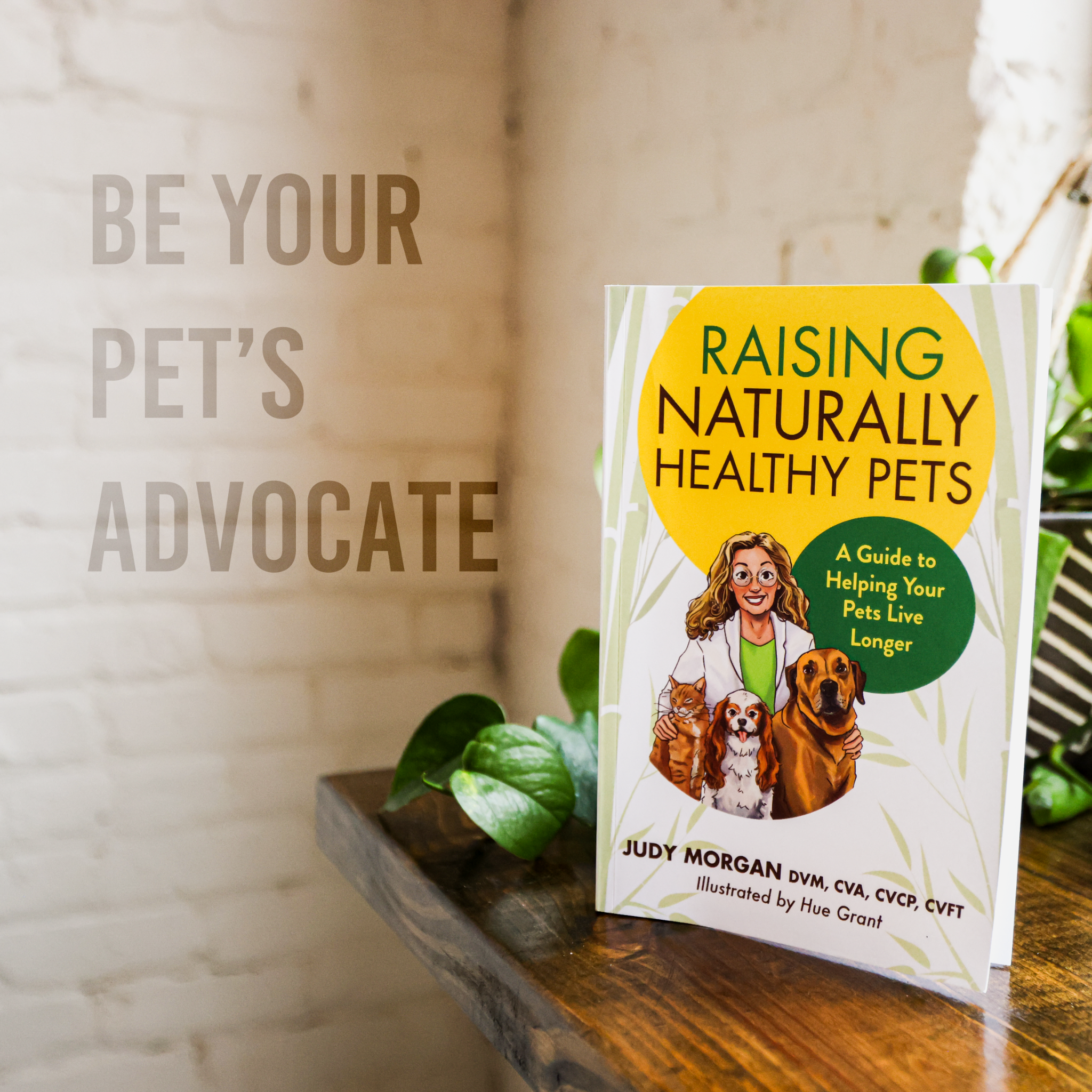 Dr. Judy Morgan's Naturally Healthy Pets Facebook ad