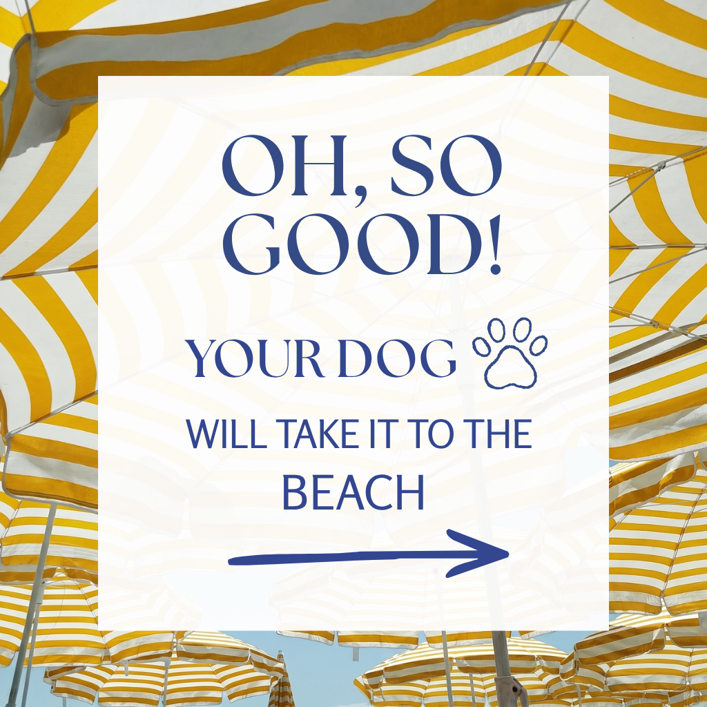 Le Noof Facebook ad