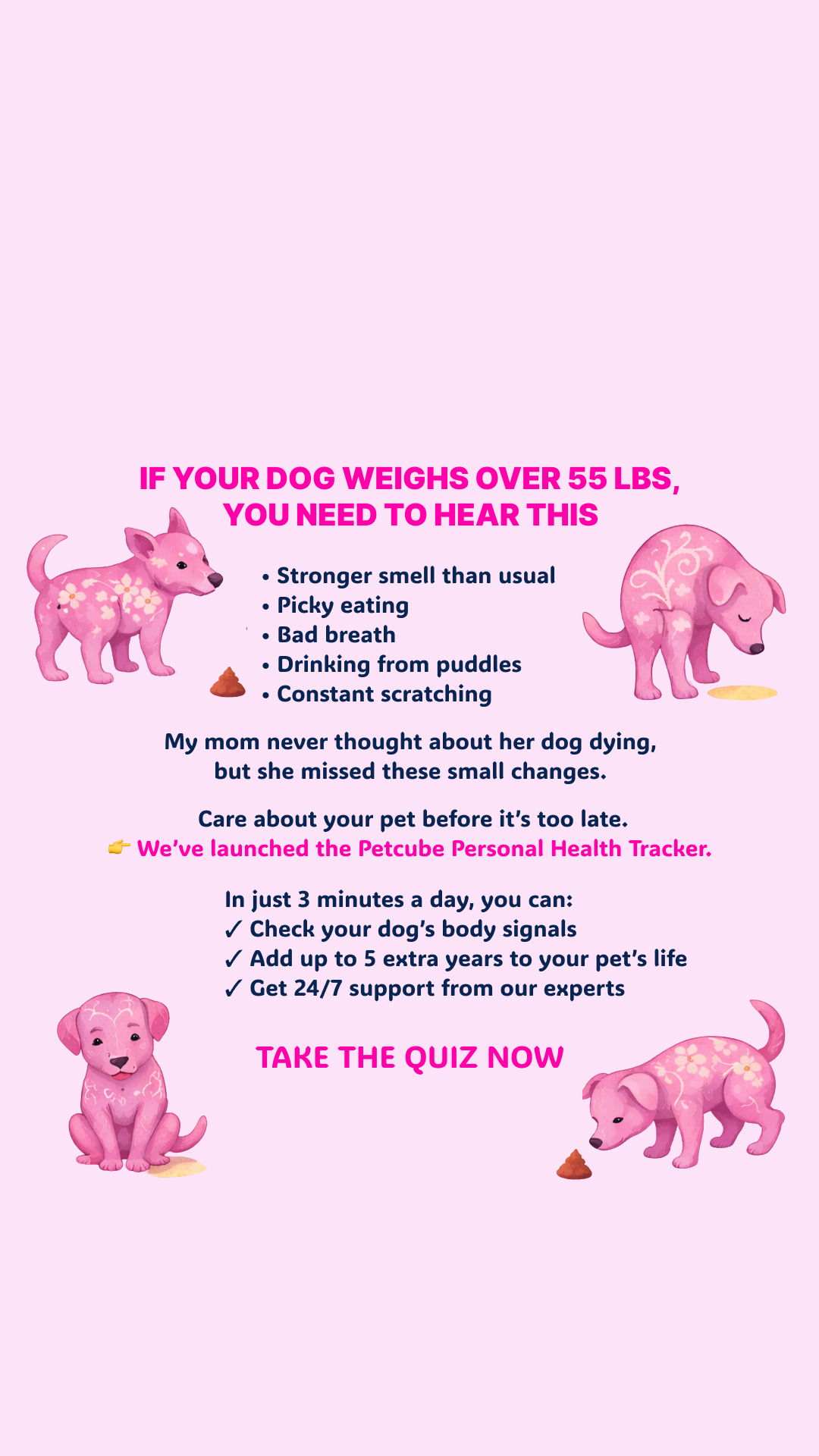 Petcube Facebook ad