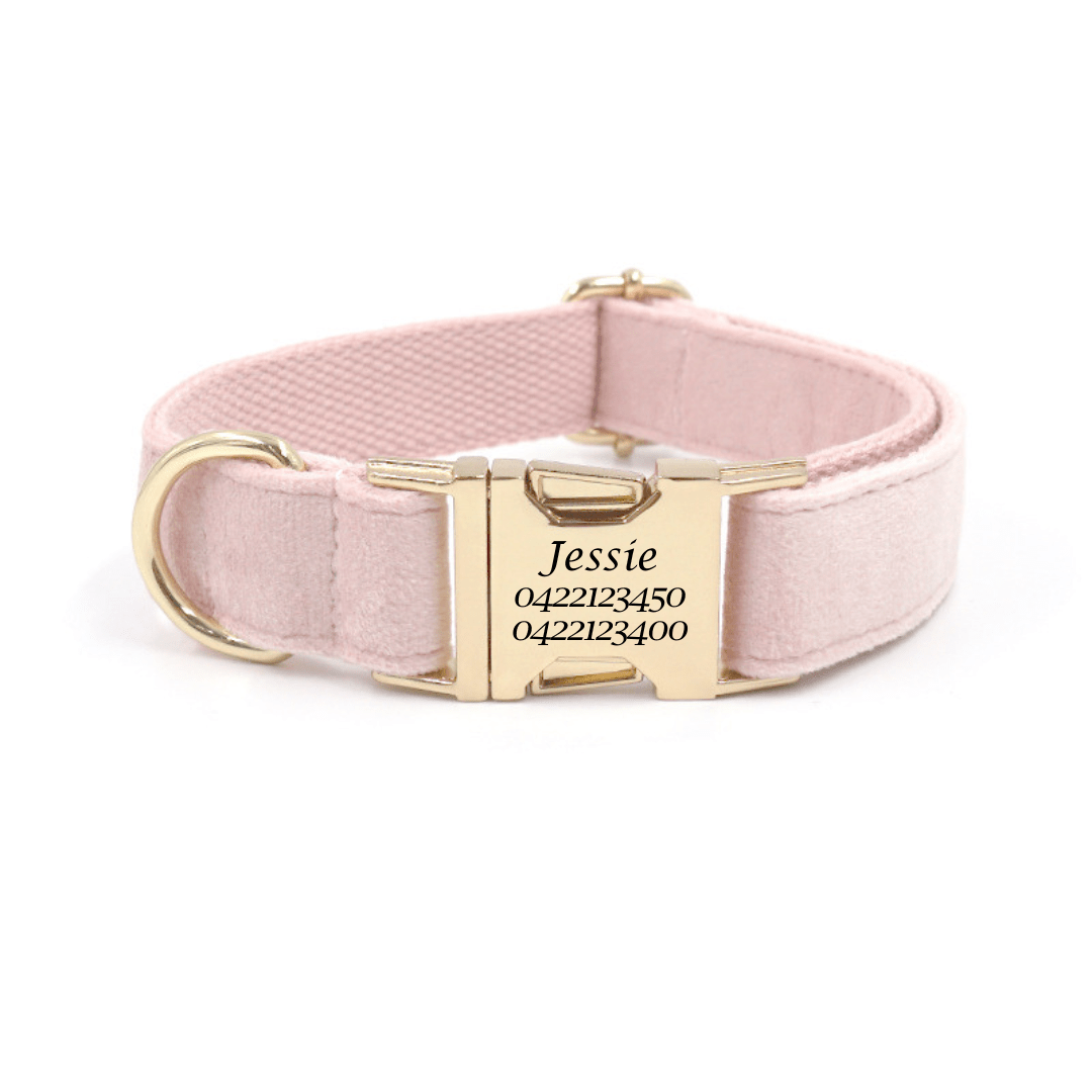 Pet ID Tags Facebook ad