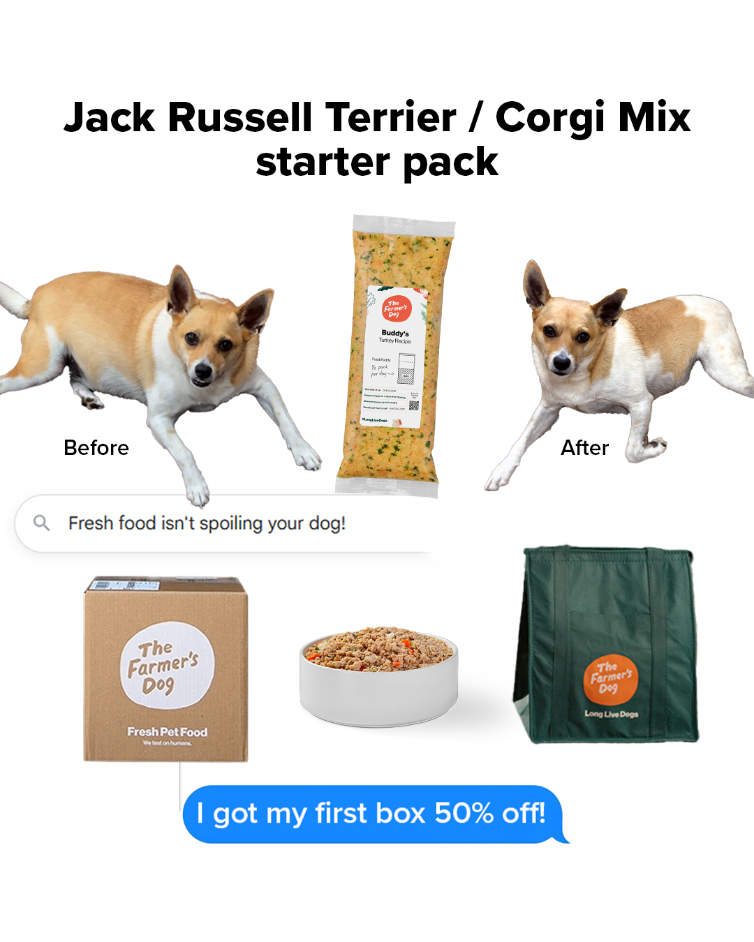 Ultimate Dog Parent Guide Facebook ad
