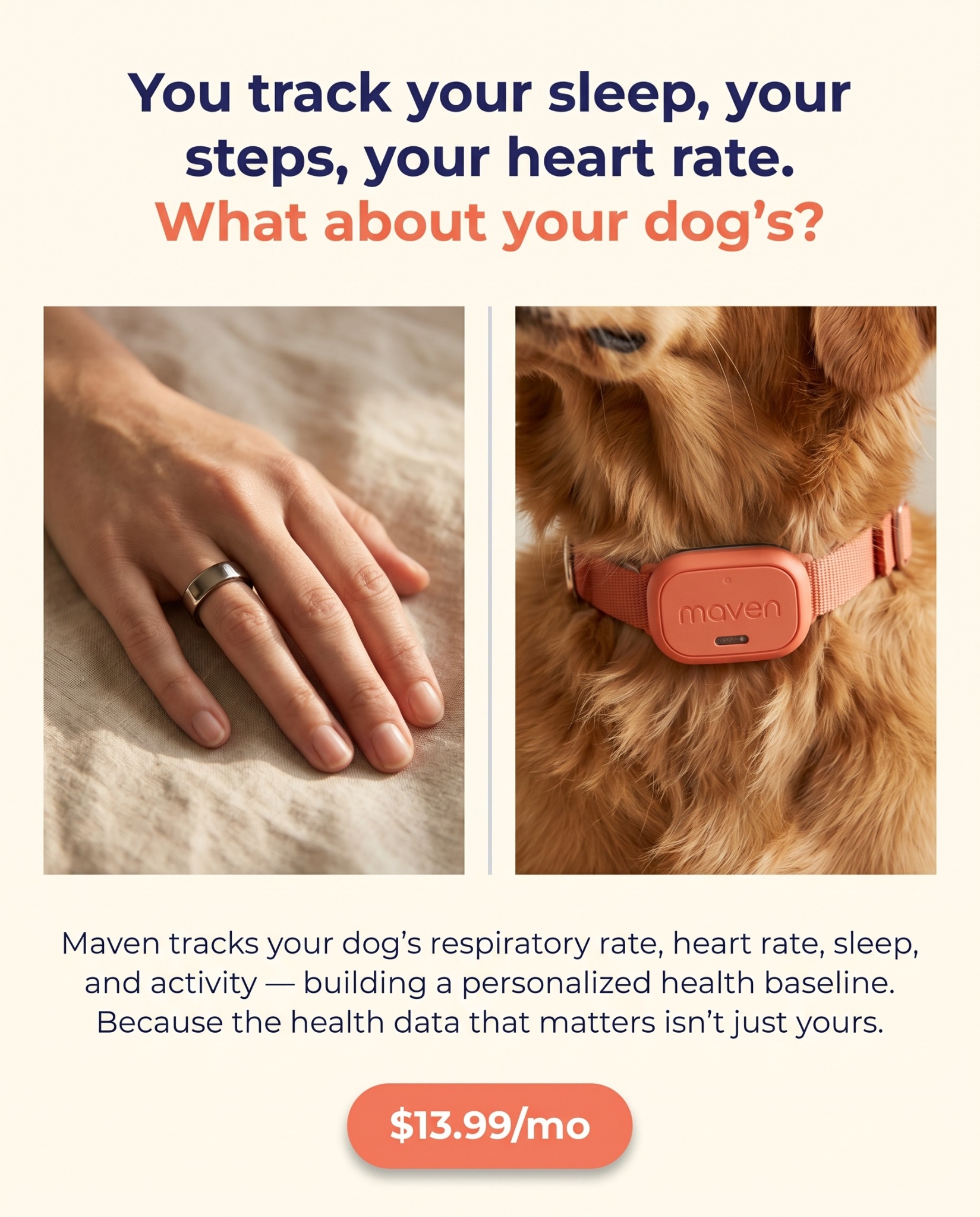 Maven Pet Facebook ad