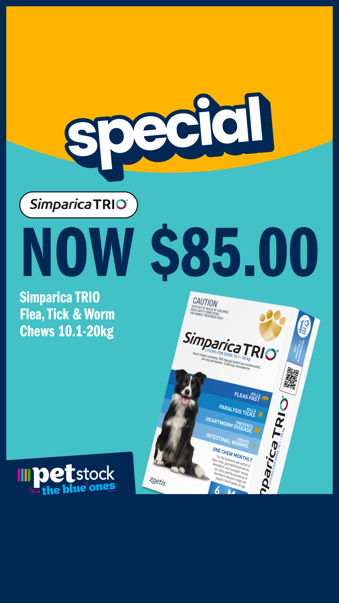 Petstock Facebook ad