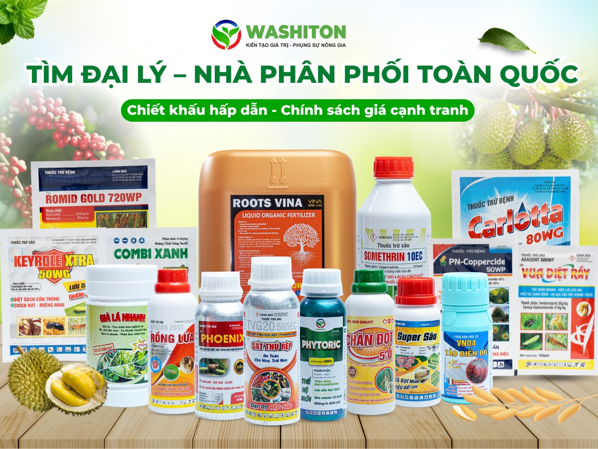 Washiton Company Facebook ad: WASHITON TÌM ĐẠI LÝ, NHÀ PHÂN PHỐI TRÊN…