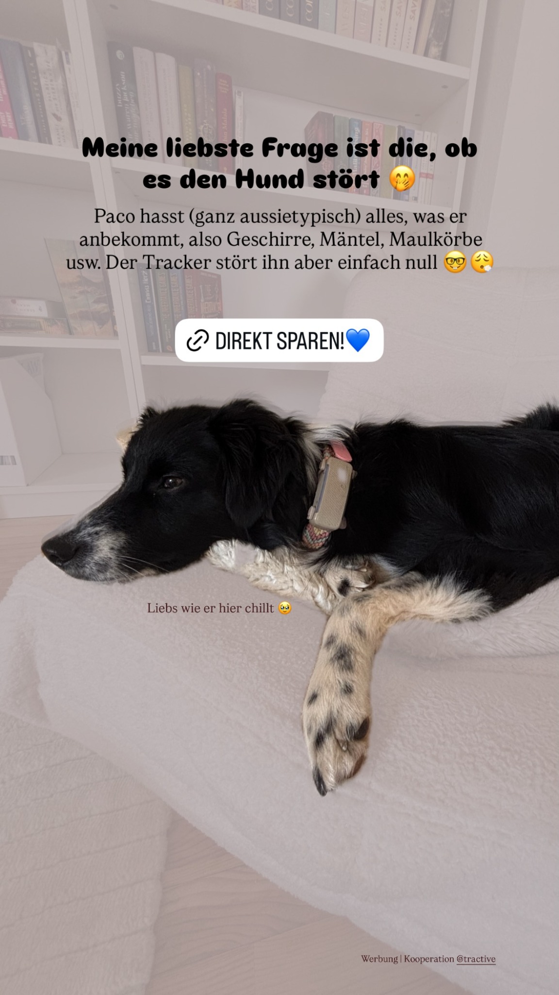 tailandstories Facebook ad