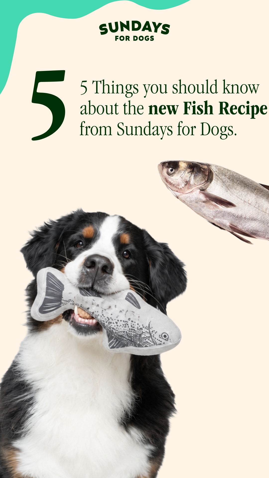 Sundays Facebook ad