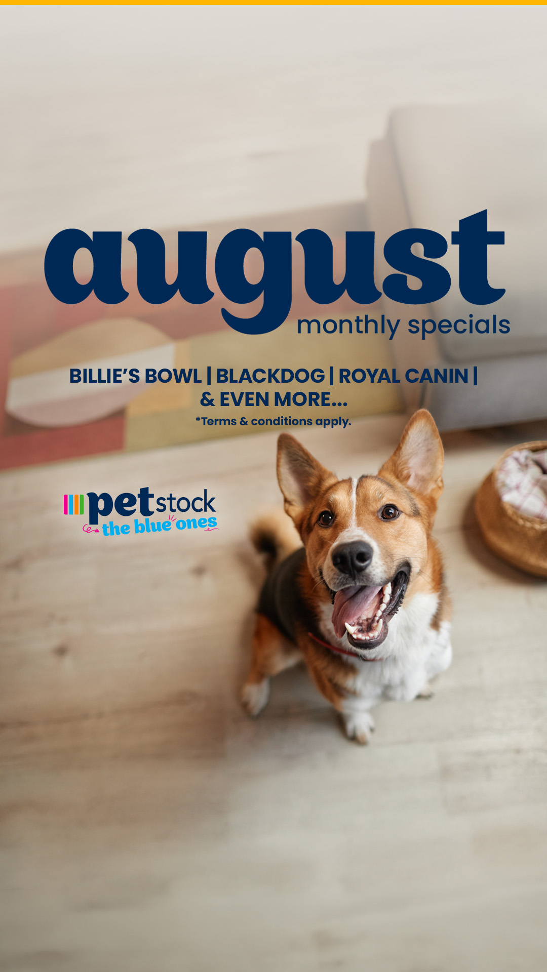 Petstock Facebook ad