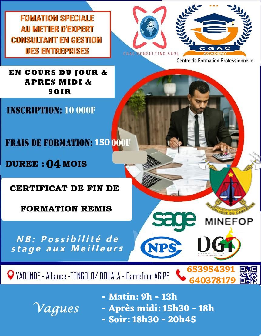 Cabinet de Gestion d'Audit et de Conseils Facebook ad: FORMATION PRATIQUE ET RAPIDE DES EXPERTS CONSULTANTS EN…