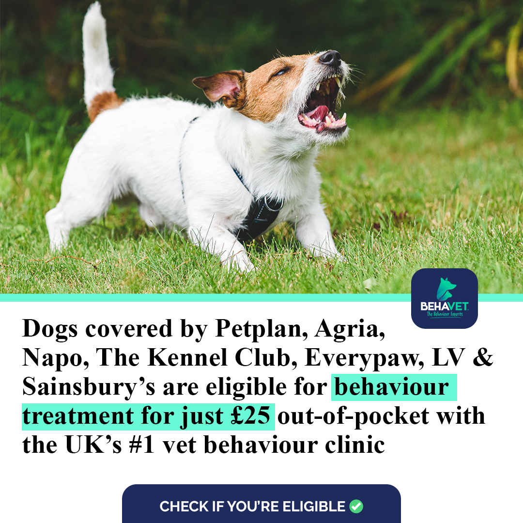 Behavet: The Pet Behaviour Experts Facebook ad
