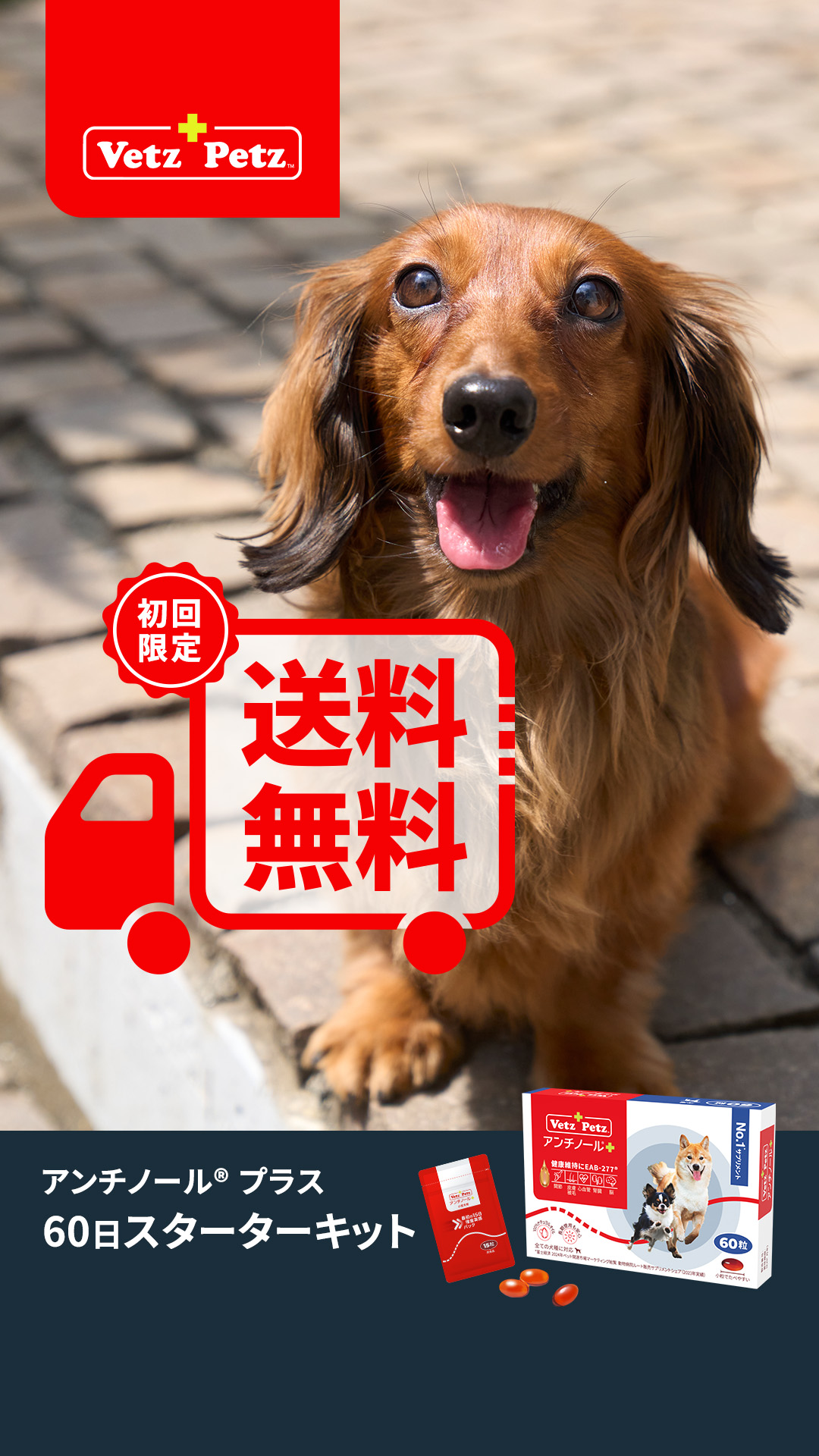 ベッツペッツ ・ アンチノール 犬猫の健康維持に役立つサプリメント Facebook ad