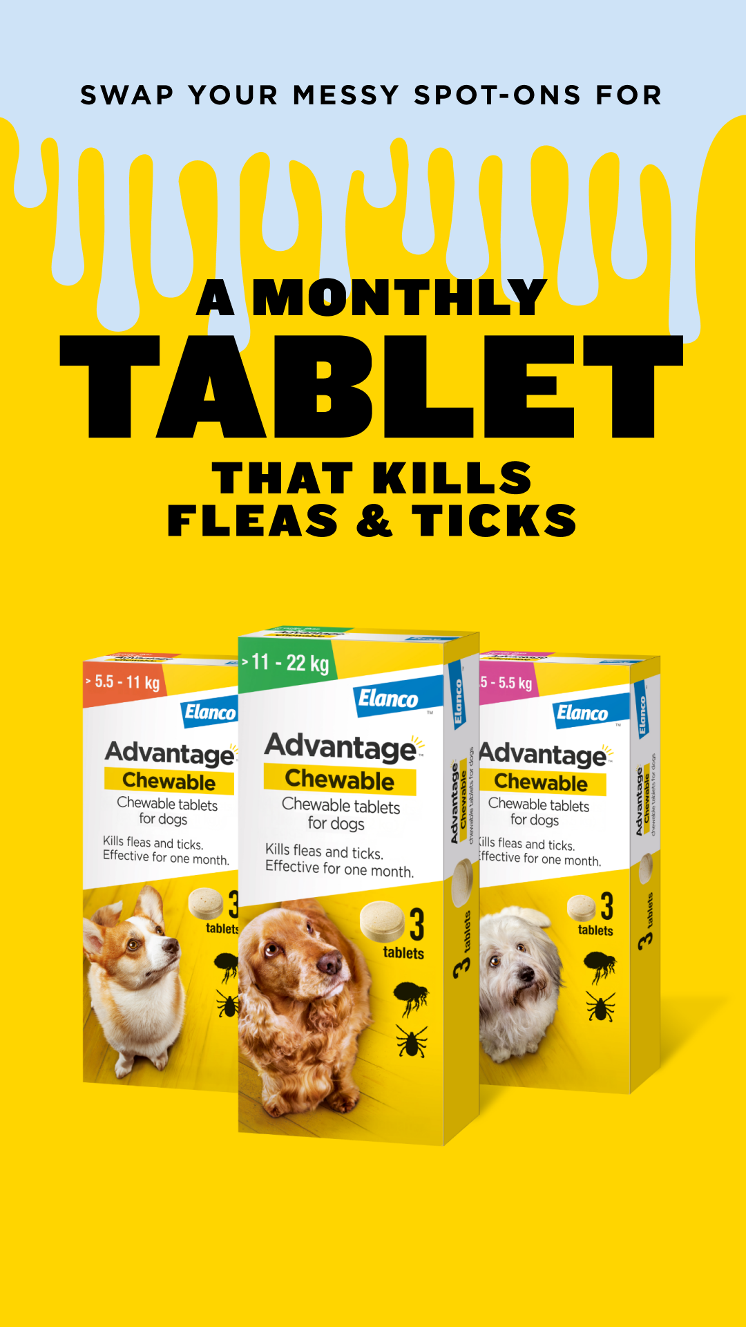 My Pet and I Facebook ad from Mar 25, 2026