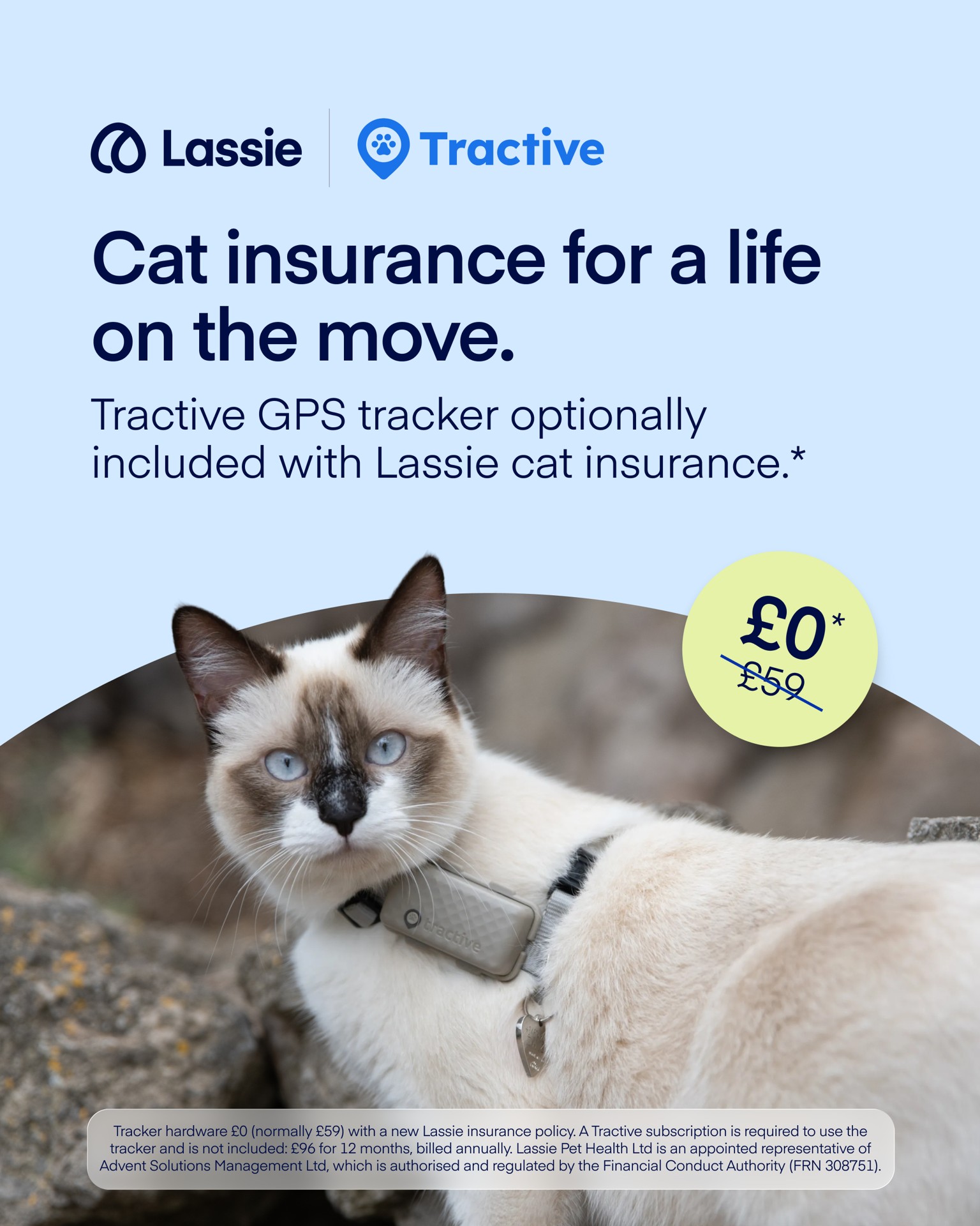 Lassie UK Facebook ad