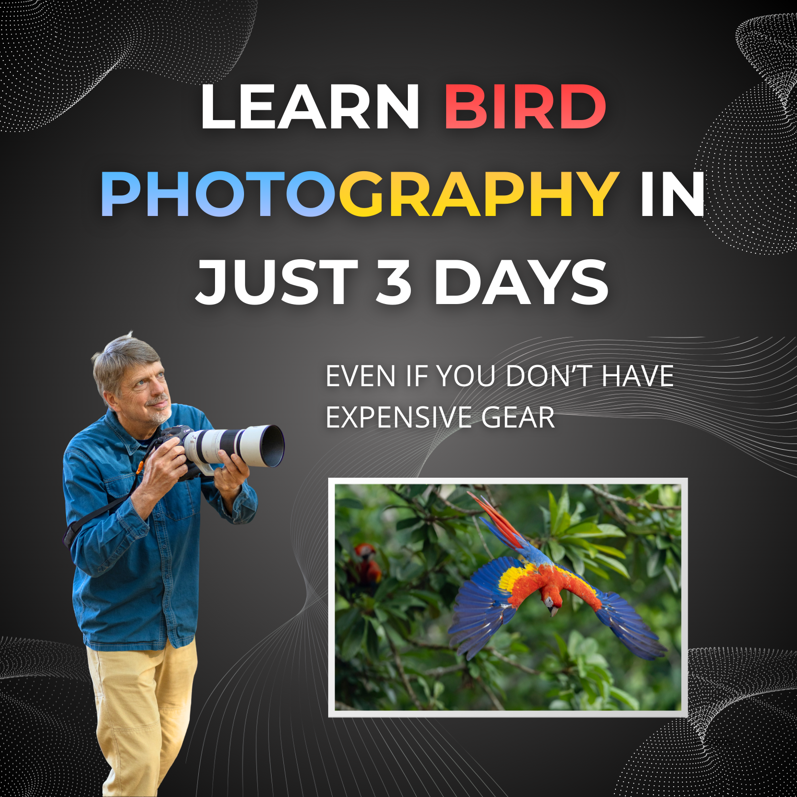 Tim Laman - Wildlife Photojournalist Facebook ad