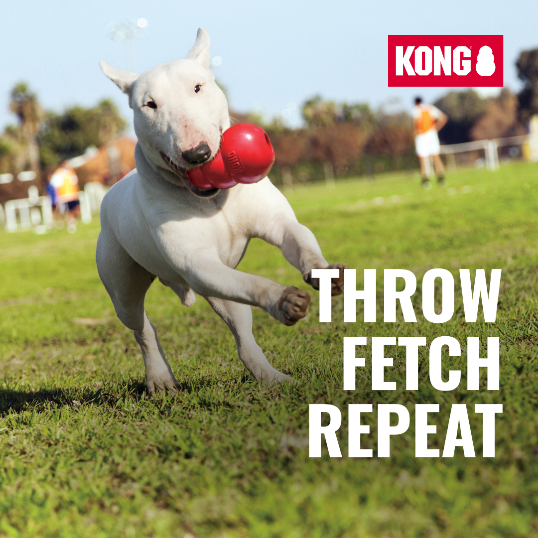 KONG Facebook ad