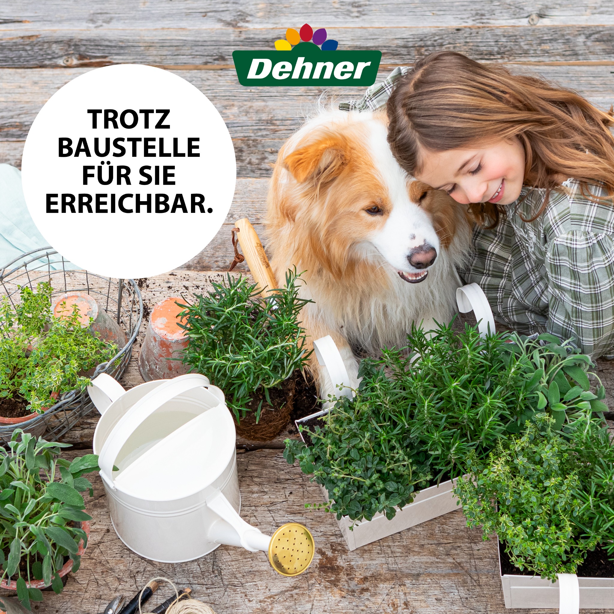 Dehner Facebook ad
