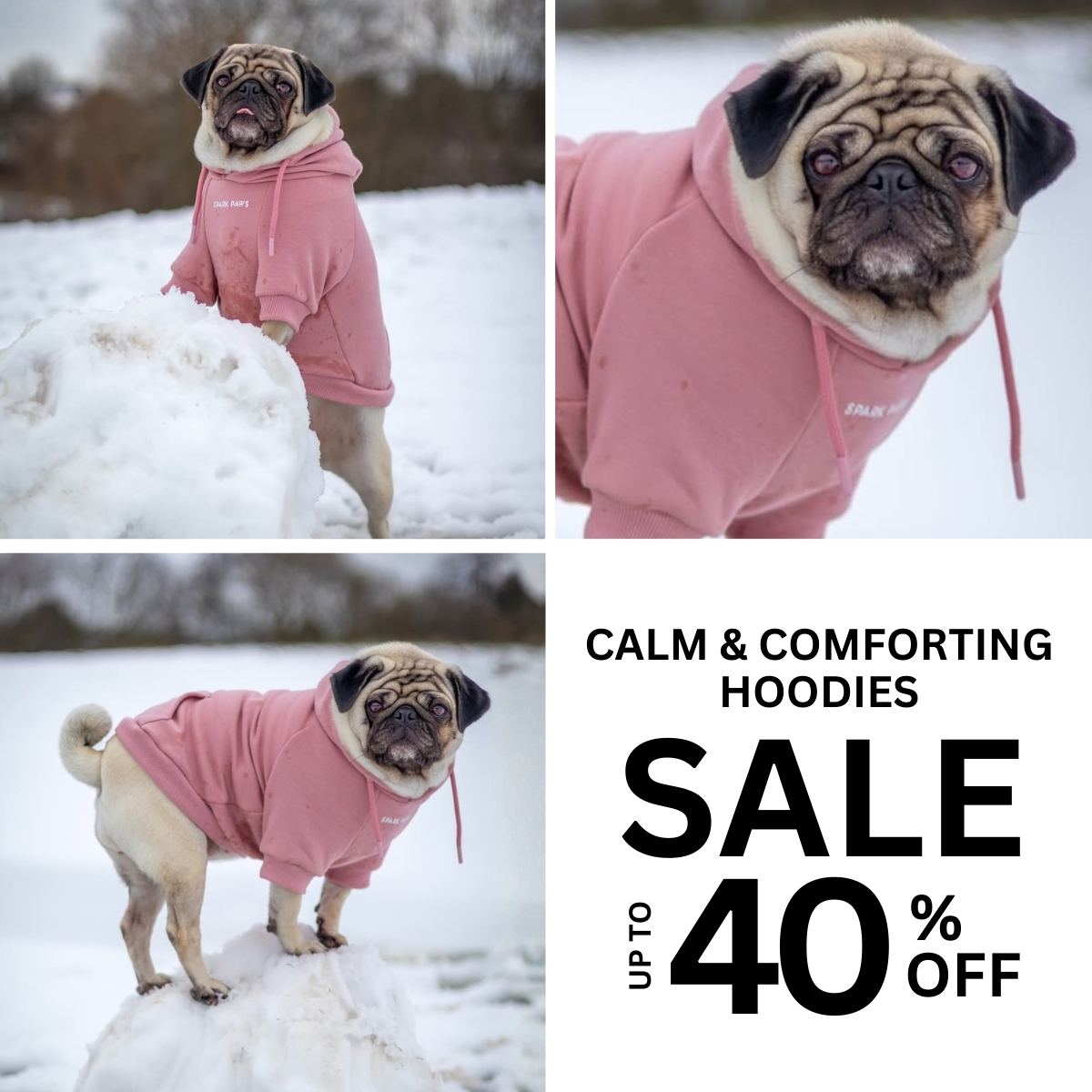 Spark Paws Facebook ad