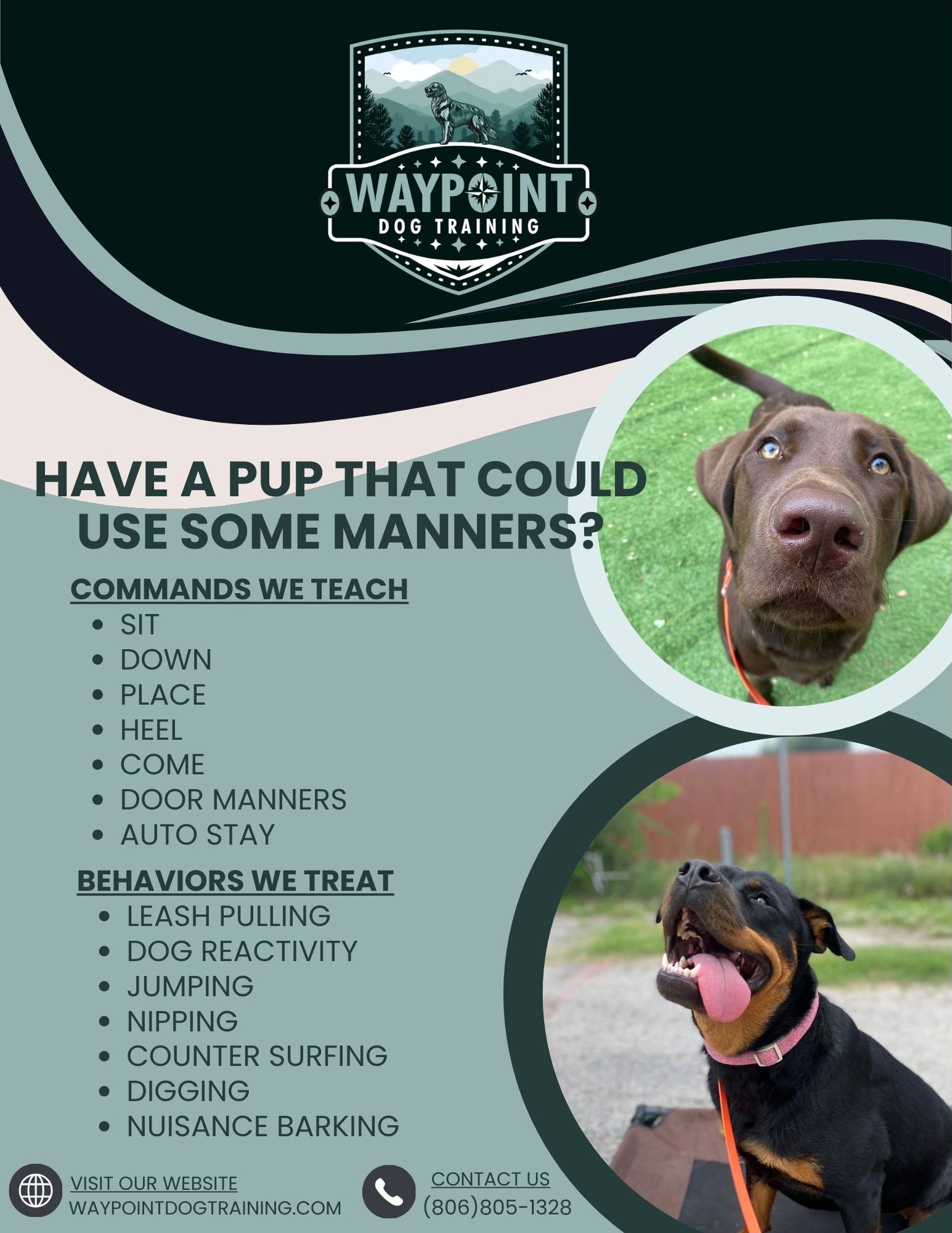 Waypoint Dog Training Facebook ad: Book a FREE Evaluation.