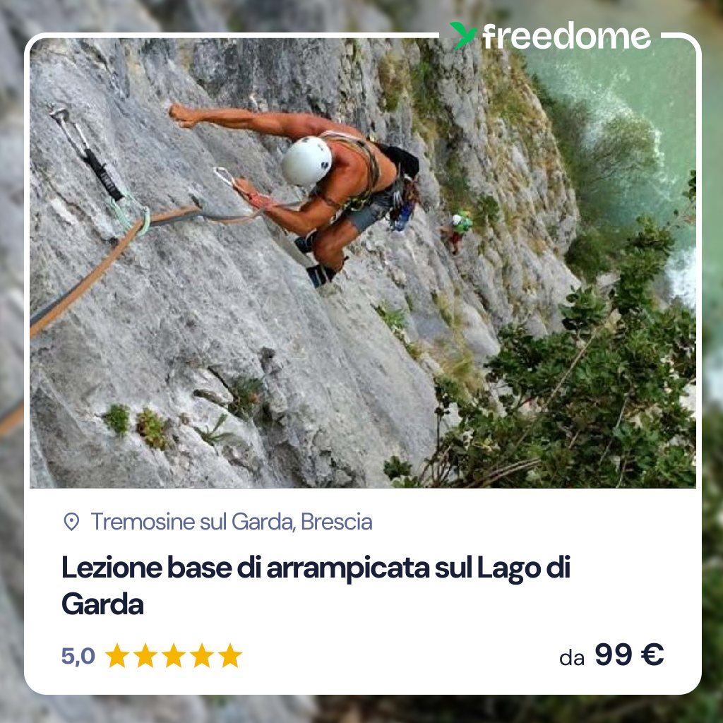 Freedome Facebook ad